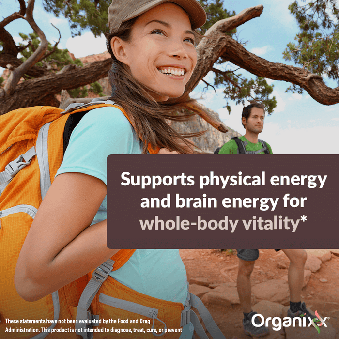 Clean Sourced Collagens + Creatine