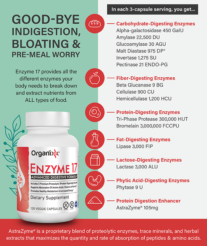 Enzyme 17