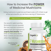 Immune-Boosting Bundle
