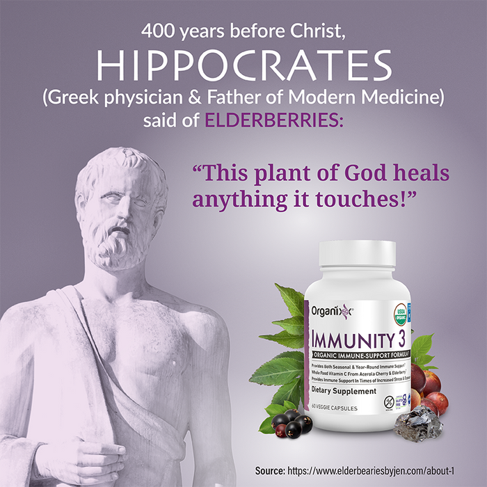 Immune-Boosting Bundle