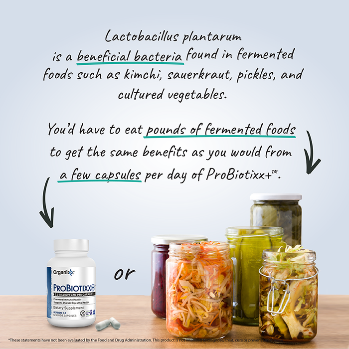 Immune-Boosting Bundle