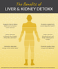 Detoxx – Liver & Kidney