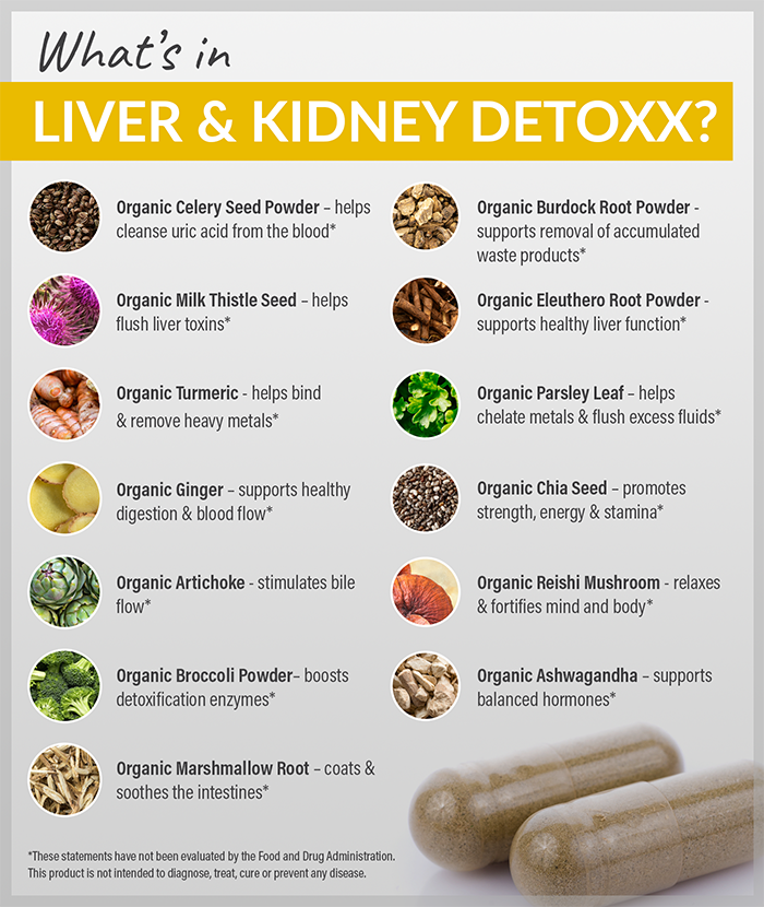Detoxx – Liver & Kidney