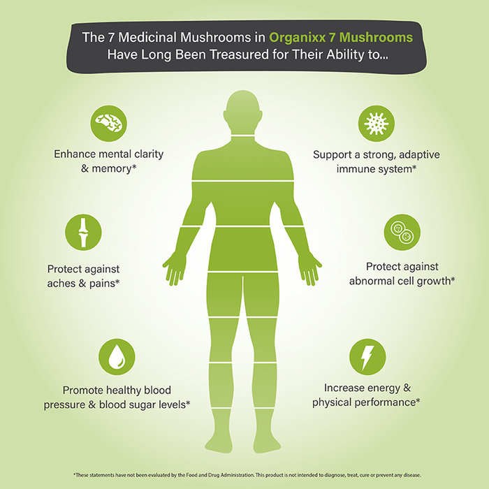 Memory & Focus Bundle