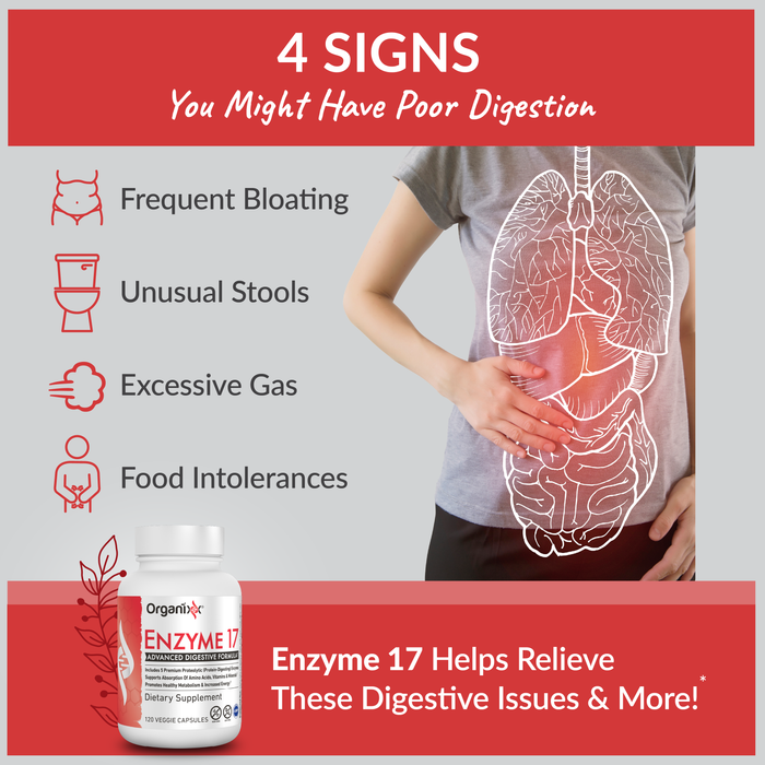 Optimal Digestion Bundle