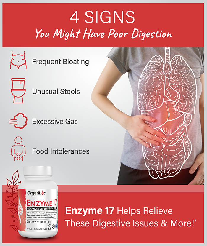 Optimal Digestion Bundle