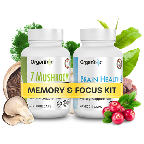 Memory and Focus Kit