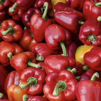 Organic Bell Pepper