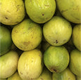 Organic Camu Camu Powder