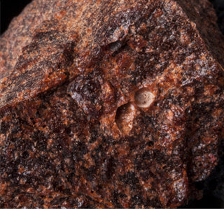 Dragon’s Blood Resin Extract