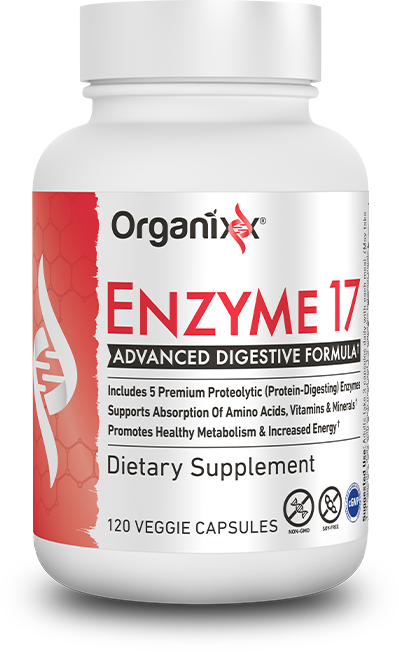 Enzyme 17
