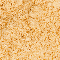 Bacillus coagulans