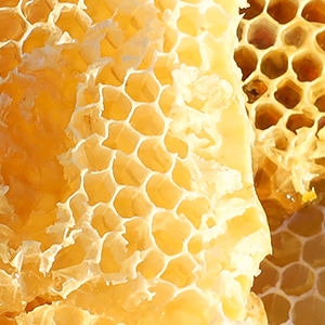Organic Beeswax