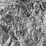 Magnesium Malate (Supports Brain & Nervous system)