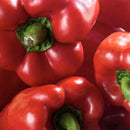 Organic Red Bell Pepper