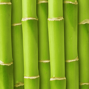 Silica Extract from Bamboo
