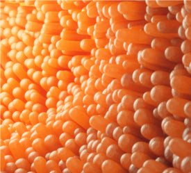 Tri-Phase Proteolytic Protease Enzymes (Breaks Down Proteins, Reduces Acid Reflux & Bloating)