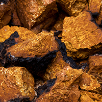 Organic Chaga Mushroom