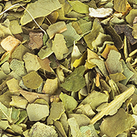 Yerba Mate Leaf Extract