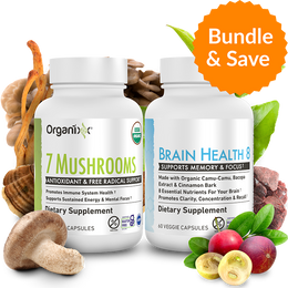 Memory & Focus Bundle