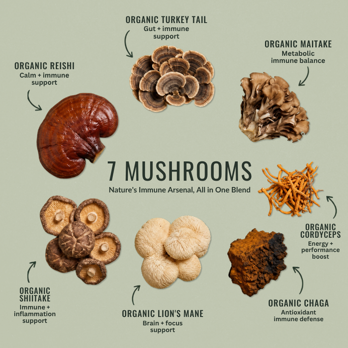 7 Mushrooms