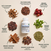 Brain Health 8