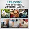 Cleanse & Detoxx Bundle