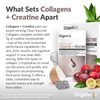 Clean Sourced Collagens + Creatine