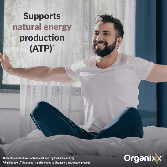 Clean Sourced Collagens + Creatine