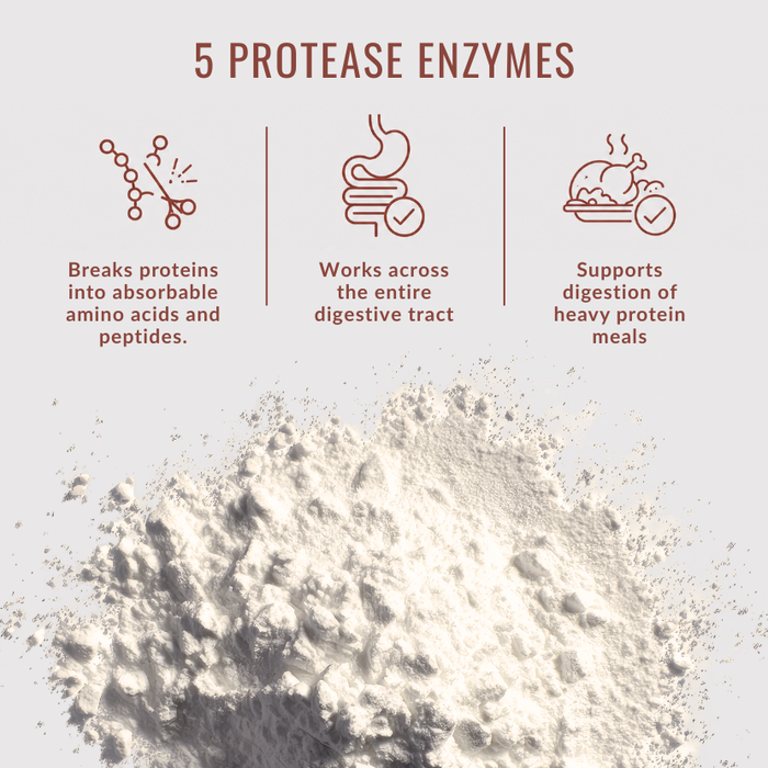 Enzyme 17