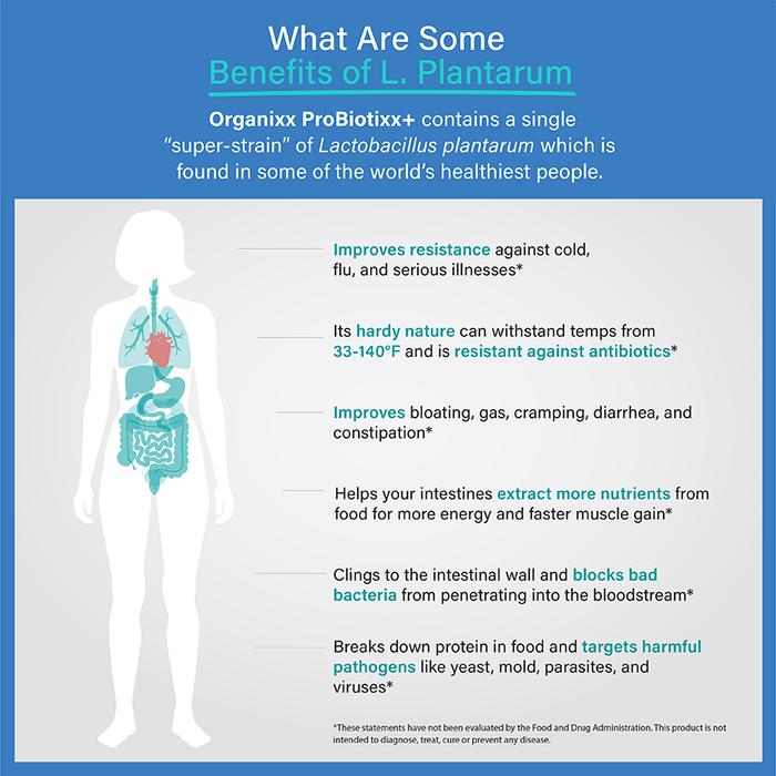 Immune-Boosting Bundle