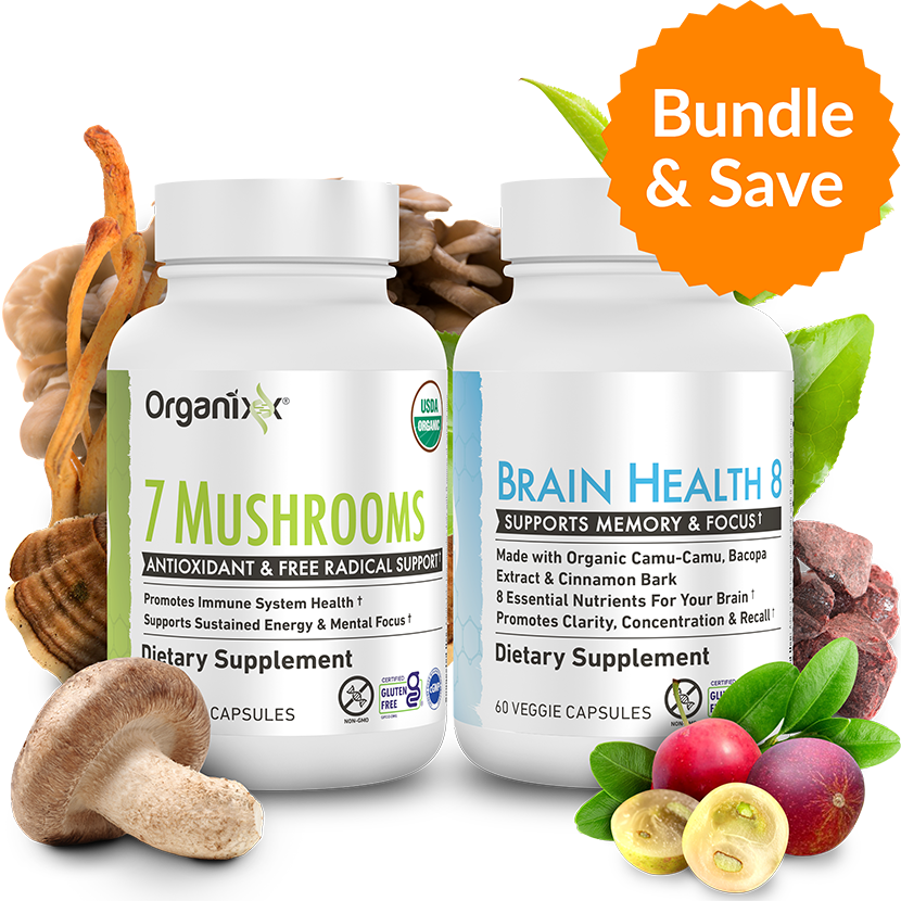 Memory & Focus Bundle