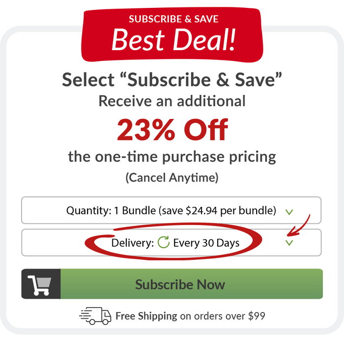 Memory & Focus Bundle