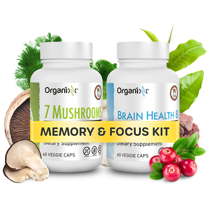 Memory and Focus Kit