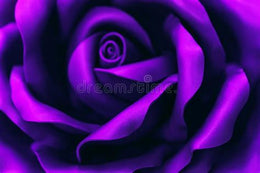 UltraViolet (20 servings)