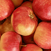 Organic Apple Cider Vinegar