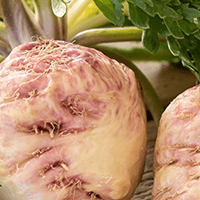 Organic Maca Root Powder