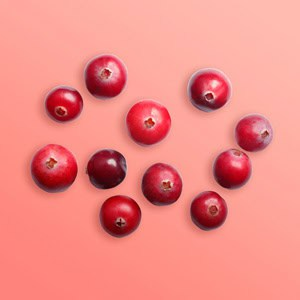 Organic Vaccinium Macrocarpon Seed Oil (Cranberry Seed Oil)