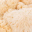 Organic Lion's Mane