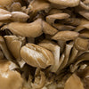 Organic Maitake