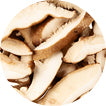 Organic Shiitake Mushroom