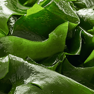 Skin Tightener ST2®