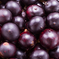 Organic Açaí Berry (Fruit)