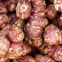 Organic Jerusalem Artichoke Inulin