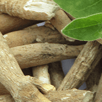 Organic Ashwagandha Root